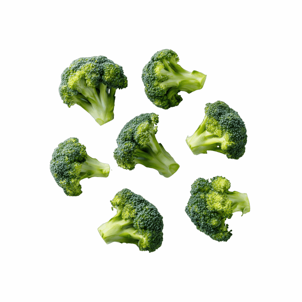 Diseño sin título (16)